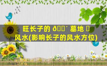 旺长子的 🐴 墓地 ☘ 风水(影响长子的风水方位)